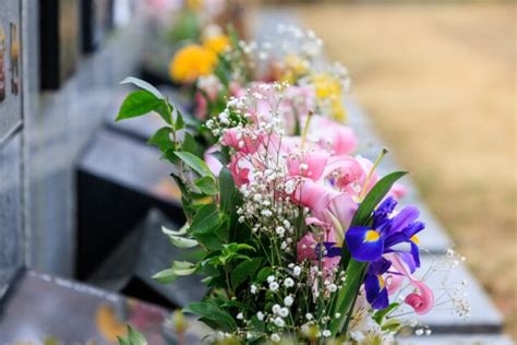 桃花風水|桃花風水やお墓参りが最強の運気を呼ぶ？花で幸運をもたらす3。